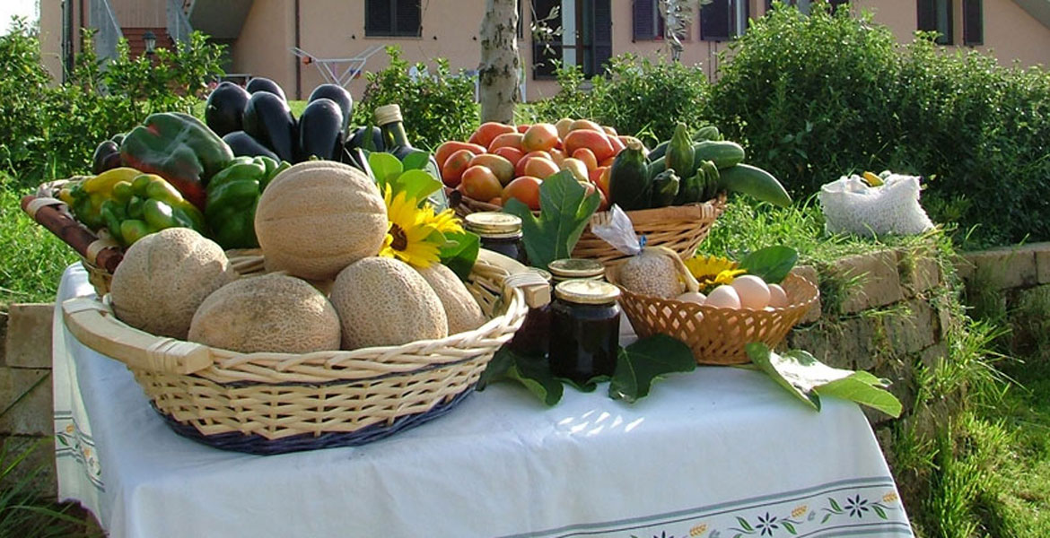 Immagine 5